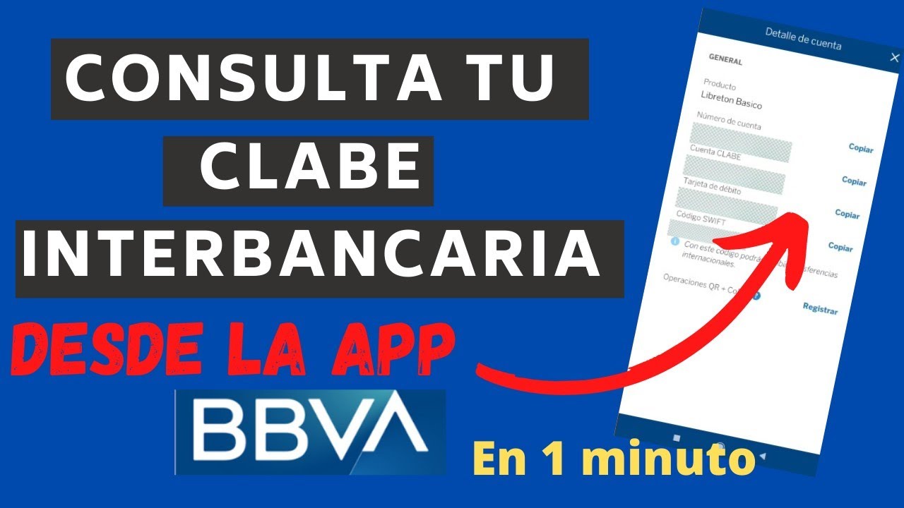 Paynet que es