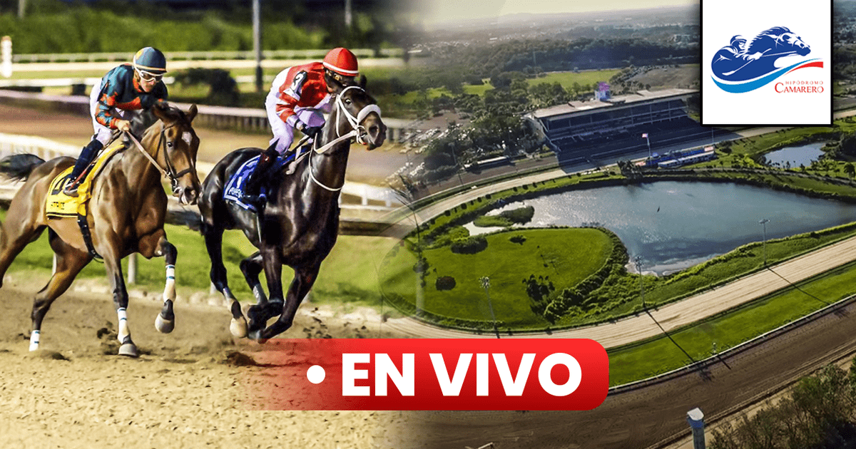 Hipodromo race & sports book